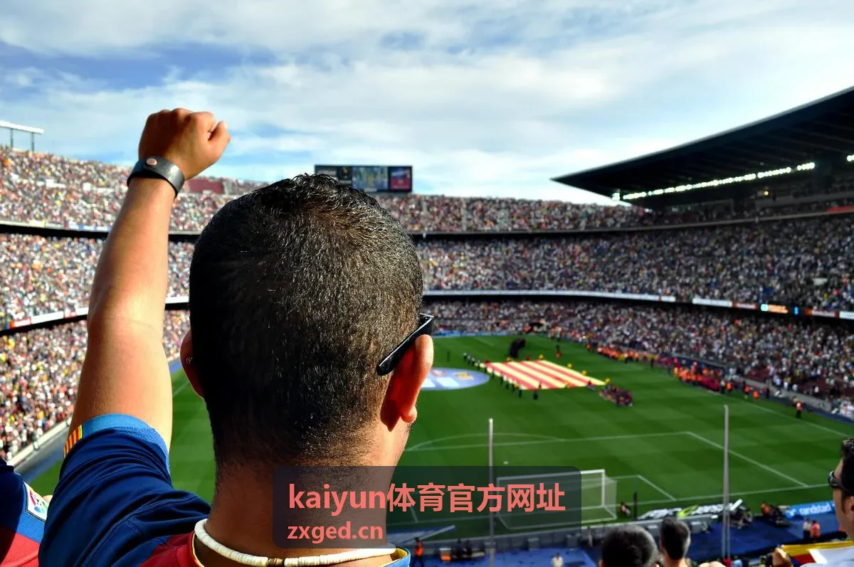 官方入口说明频道封面，介绍入口核对方式