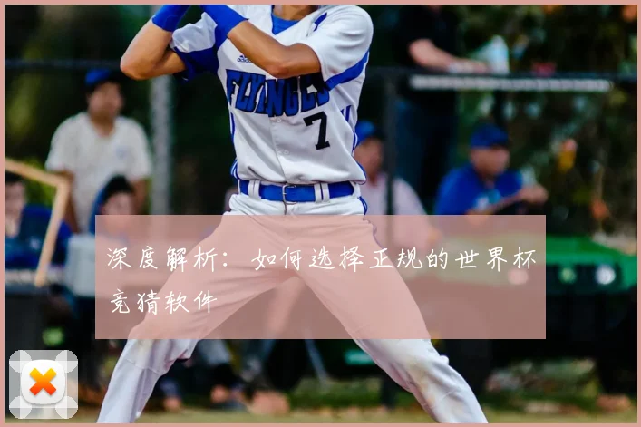 深度解析：如何选择正规的世界杯竞猜软件