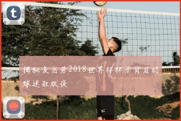 揭秘麦当劳2018世界杯杯子背后的球迷狂欢夜