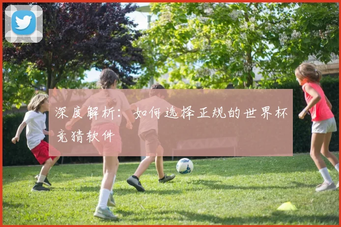 深度解析:如何选择正规的世界杯竞猜软件