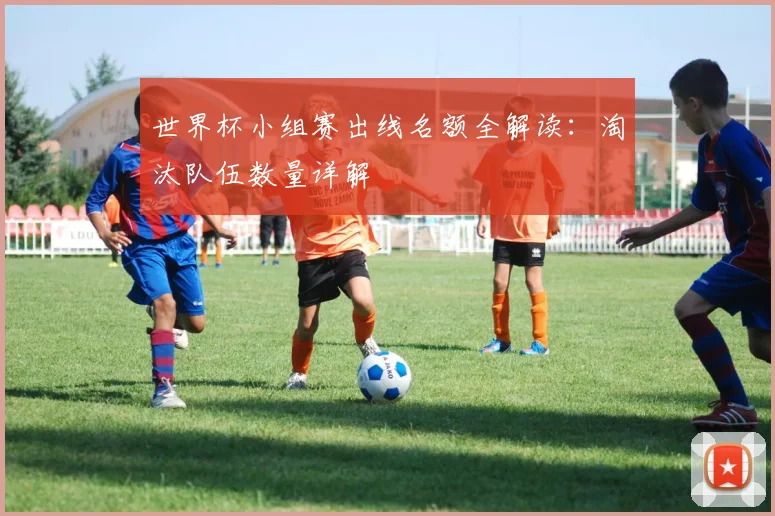 世界杯小组赛出线名额全解读：淘汰队伍数量详解