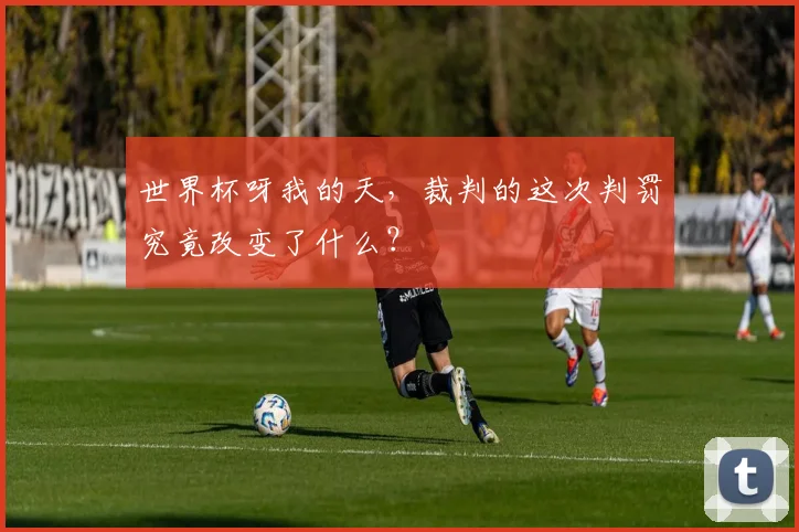 世界杯呀我的天，裁判的这次判罚究竟改变了什么？